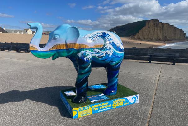 Stampede by the Sea, West Bay