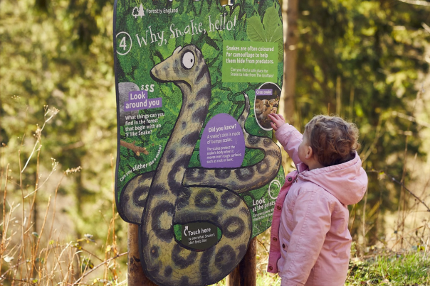 Girl looking at sign at Gruffalo Trail Moors Valley Country Park and Forest