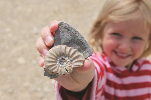 A child holding a fossil on the Jurassic Coast in Dorset