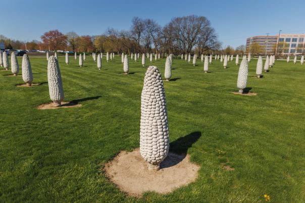 Rows of tall concrete corn sculptures stand in a grassy field under a clear blue sky at the Field of Corn in Dublin, Ohio.