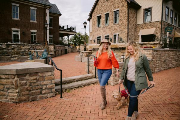 Fall Historic Dublin Walking