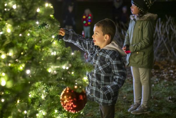 Child hanging an ornament on the tree at the City of Dublin Tree Lighting
