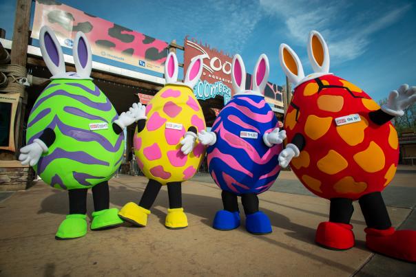 Eggs, paws and claws