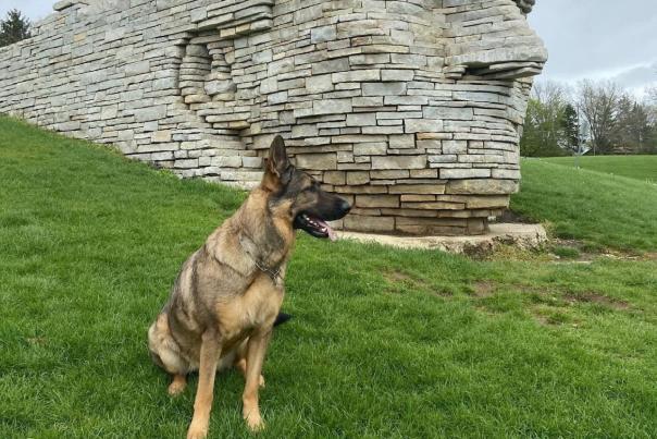 A german shepherd in front of the Leatherlips public art statue in Scioto Park