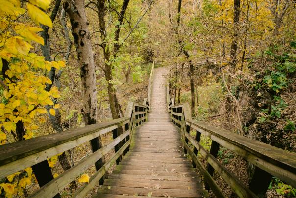 Wood pathway surrounded by fall color at Hayden Run Falls