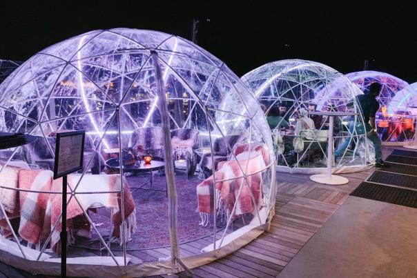 VASO Igloos