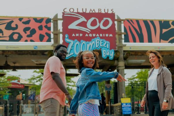 Dublin Zoo Preview