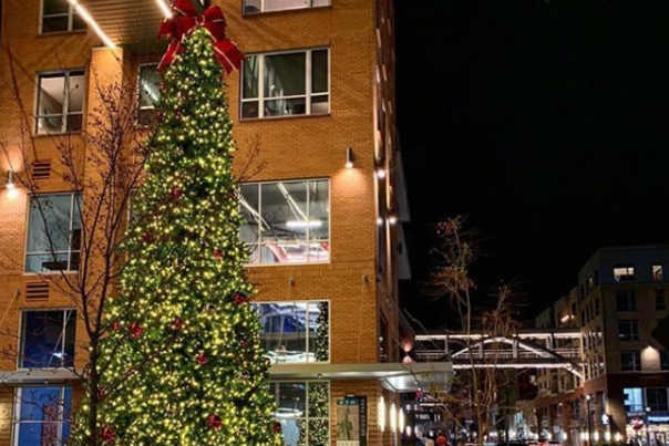 Bridge Park Christmas Tree