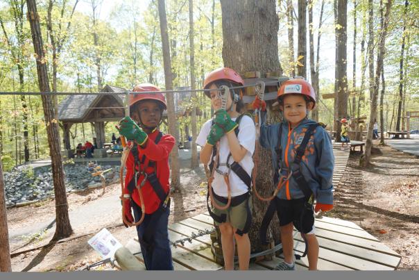 Tree Top Quest