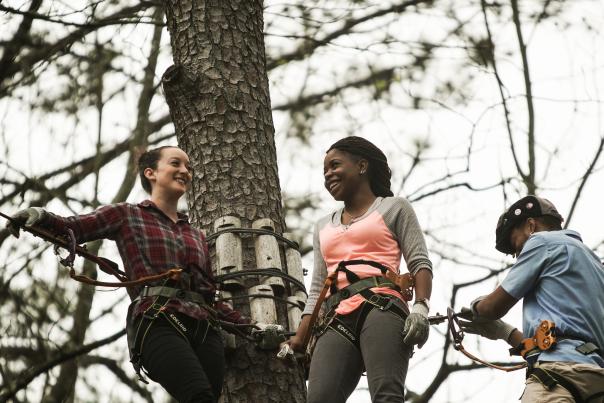 Treetop Quest Friends in Harnesses