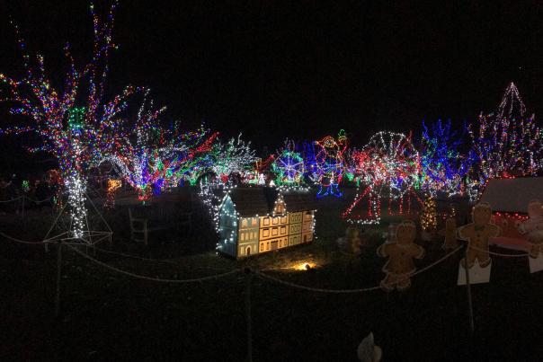 Holiday Lights at Lilacia Park