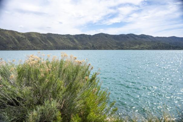 Lake Nighthorse During Spring