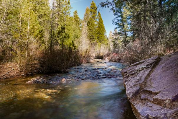 Colorado Trail During Spring
