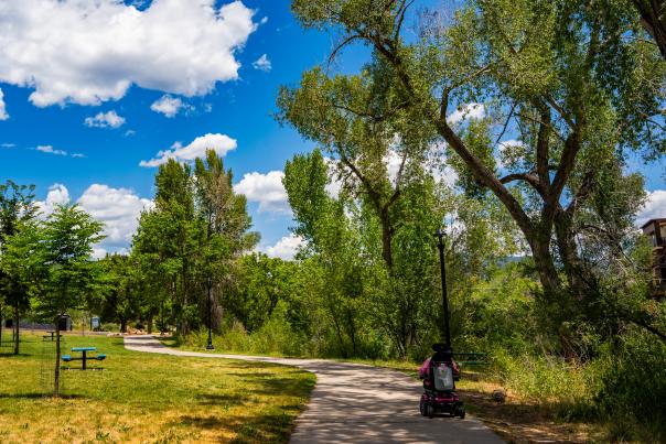 Schneider Park During Summer