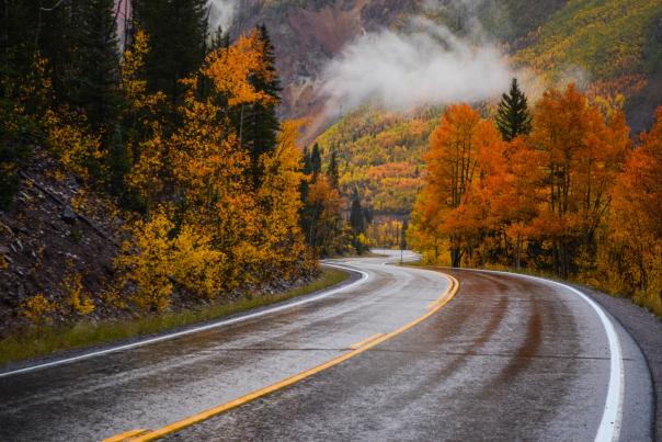Fall Colors on Highway 550
