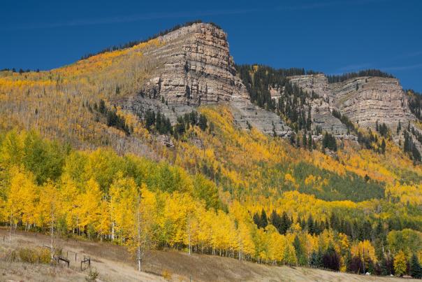 Fall Colors at Castle Rock Peak, Durango, CO