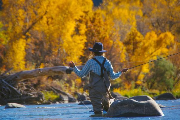 Fall Fly Fishing on the Animas River