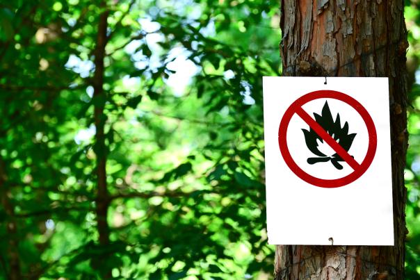 Prevent Wildfires