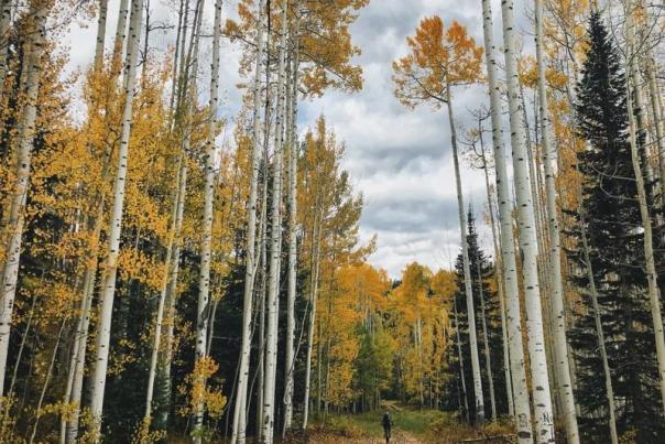 Exploring the Kaleidoscopic Colors of Fall in Durango 2019