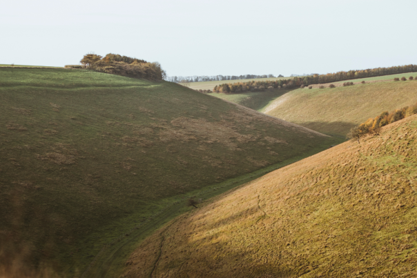 A scenic view of the fields across the Yorkshire Wolds.