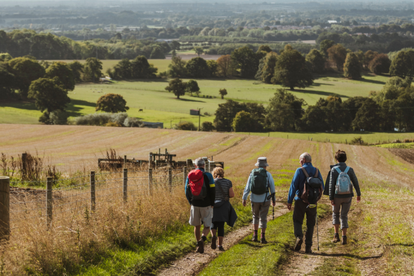 A group of people walking in the Yorkshire Wolds