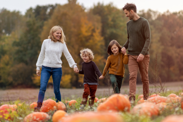 A family strolling through a field of pumpkins