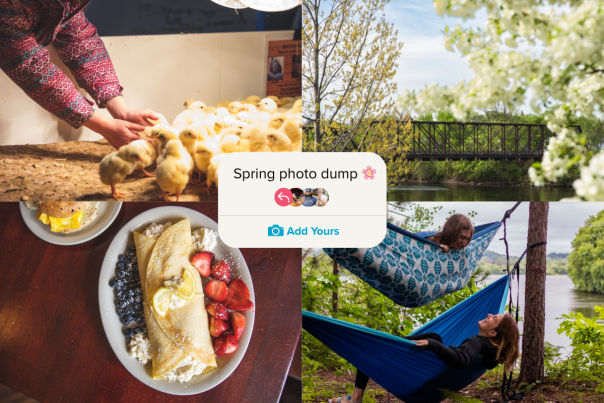 Spring Photo Dump Header