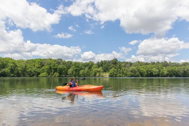 Kayaking in Braun's Bay
