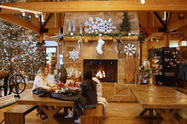 Leinie Lodge Winter Fireplace