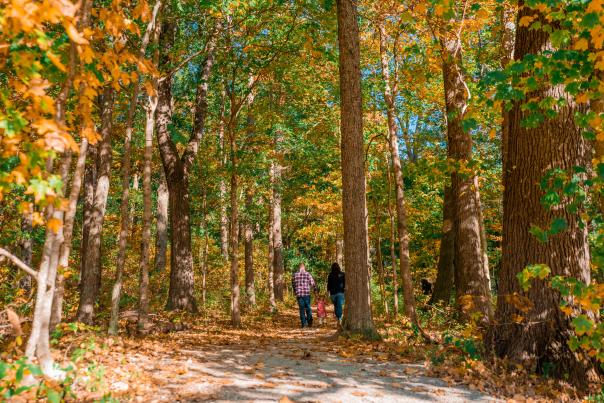 Nature Park in Elizabethtown