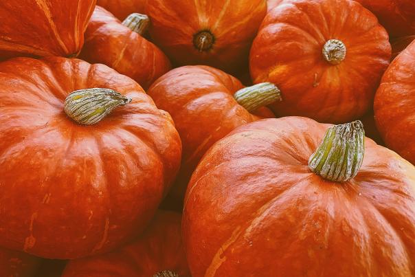 Fall Events Header - Pumpkins