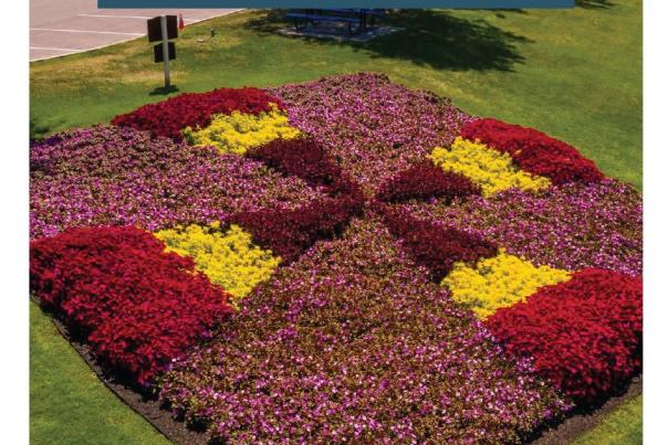 Quilters Chronicles Image