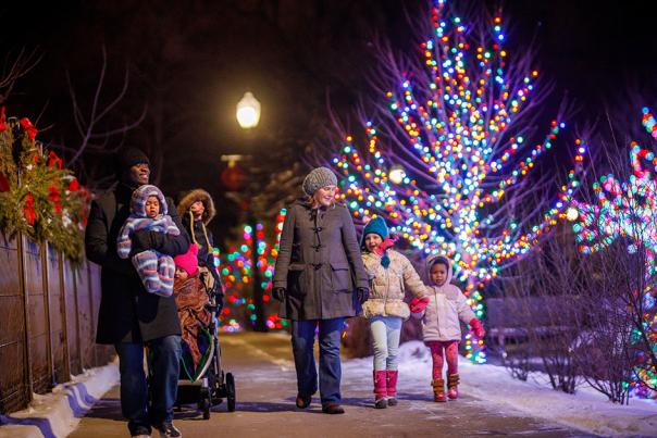 Wellfield Botanical Garden Lights