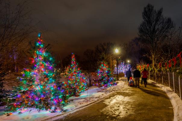 Wellfield-Christmas-Lights-Elkhart-03