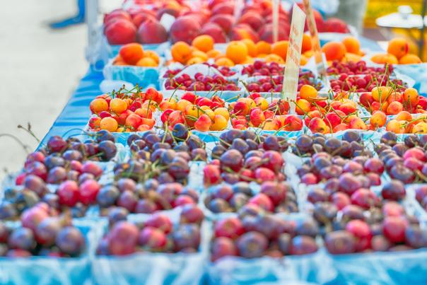 Farmers Market