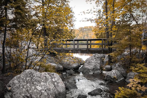 Bridge along the Trail