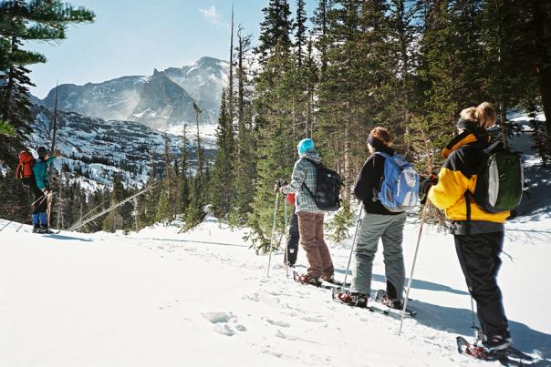 Winter Ecology: A Snowshoeing Trek for Kids & Families - Image