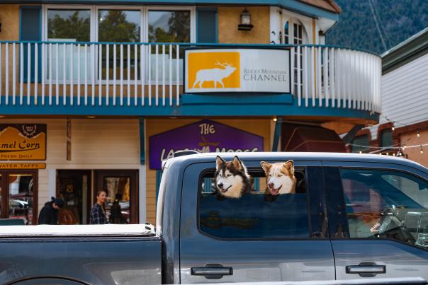 Dog Friendly Hotels in Estes Park