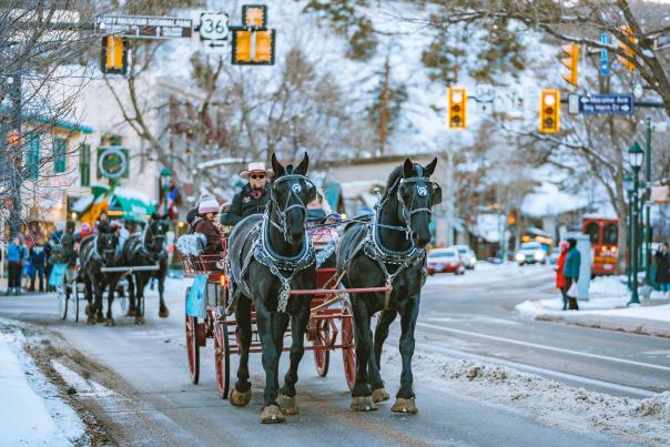 Carriage Ride_John Berry