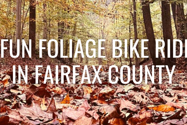 5 Fun Foliage Bike Rides