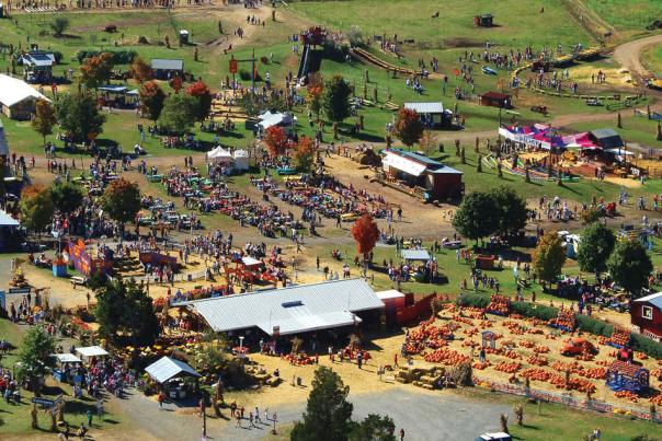 Cox Farms Fall Festival