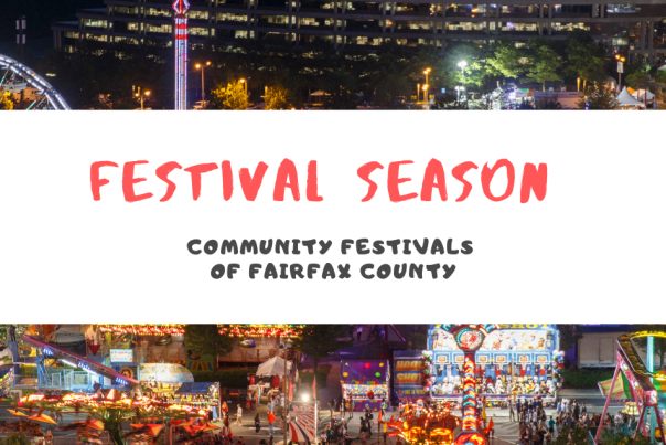 Festival Season - Blog Header