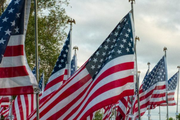 Flags - Fairfax250 Article