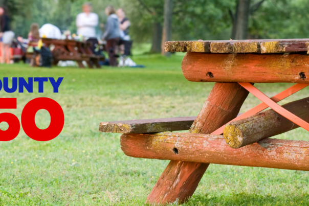 School Picnic Program