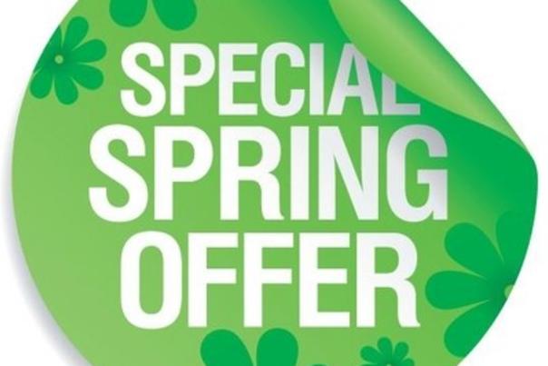 Spring Offers button