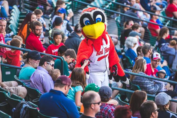 RedHawks Hawkeye
