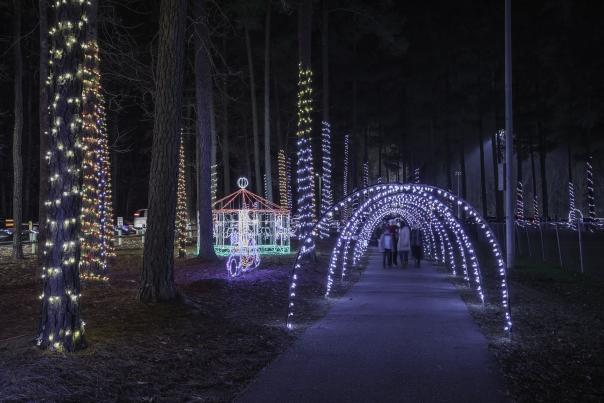 Christmas Lights