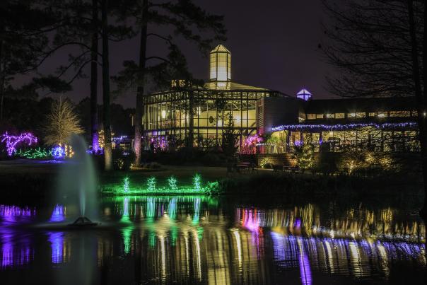 Holiday Lights at the Cape Fear Botanical Garden