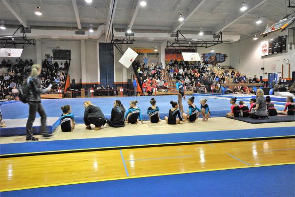 All American Gymnastics