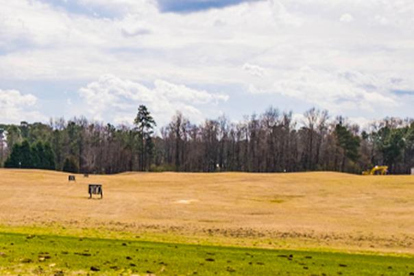 Bayonet Driving Range Banner Image